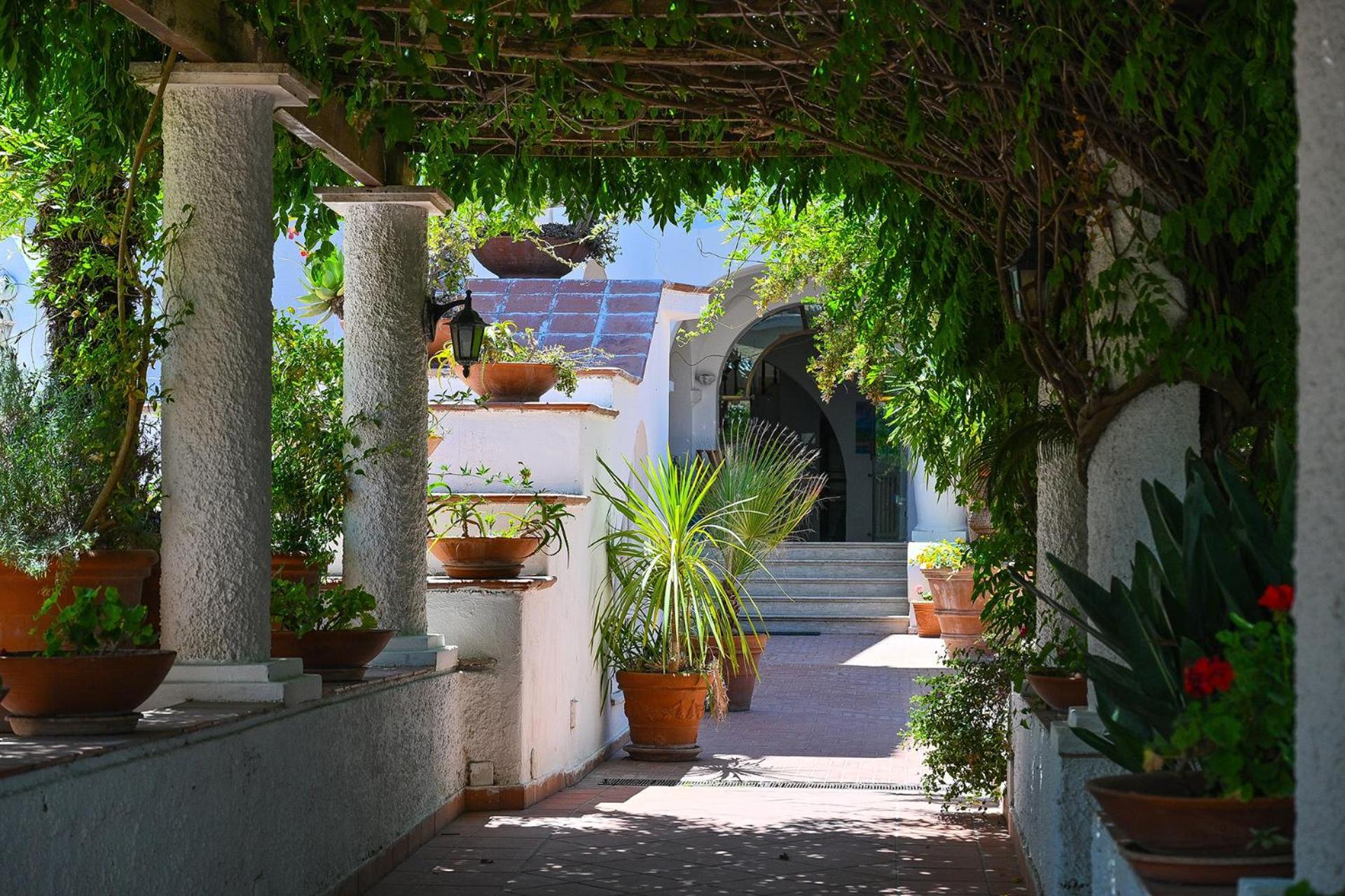 Av Club Terme Colella Otel Forio di Ischia Dış mekan fotoğraf