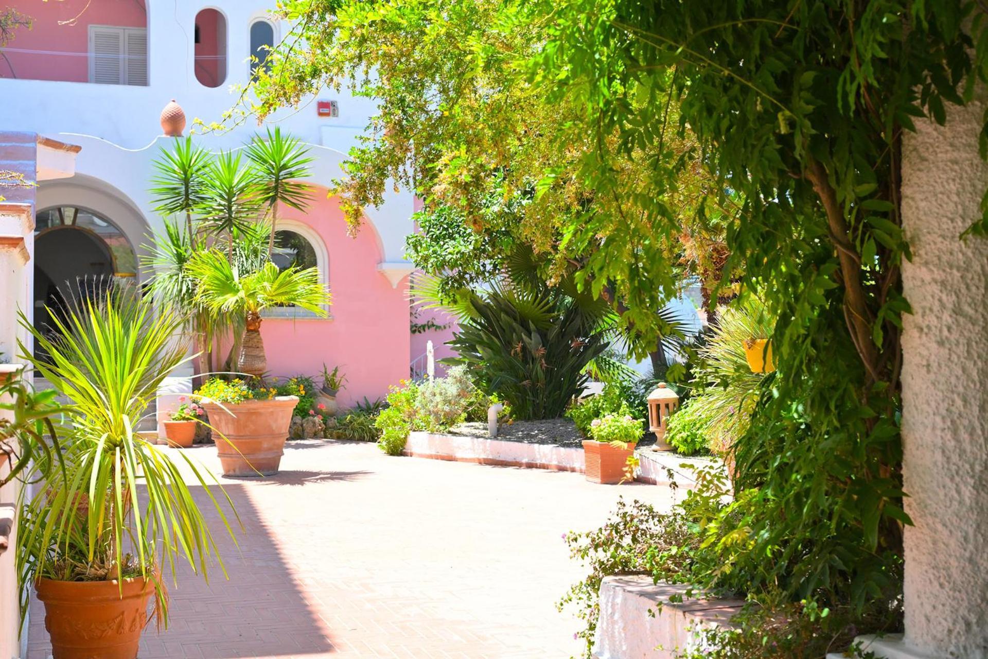 Av Club Terme Colella Otel Forio di Ischia Dış mekan fotoğraf