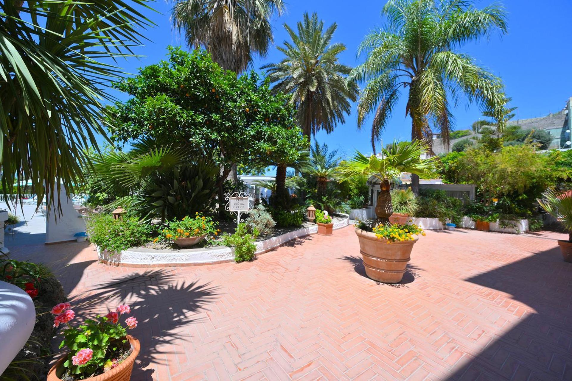 Av Club Terme Colella Otel Forio di Ischia Dış mekan fotoğraf